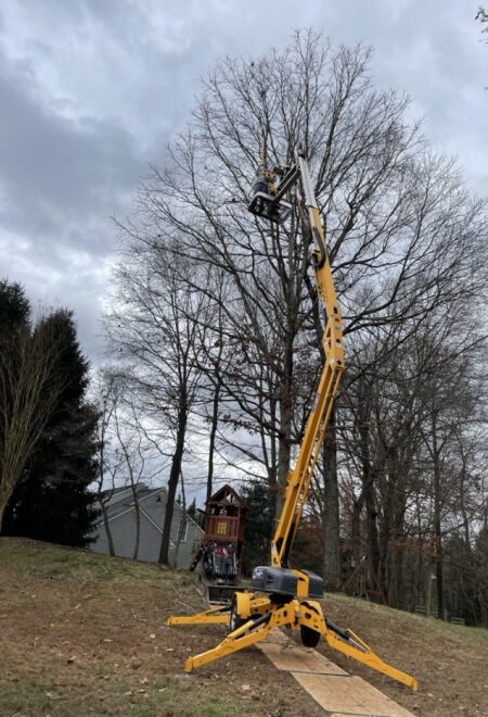 HLD-Tree-Service